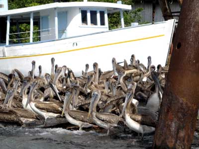 Voyage au Guatemala de Christian