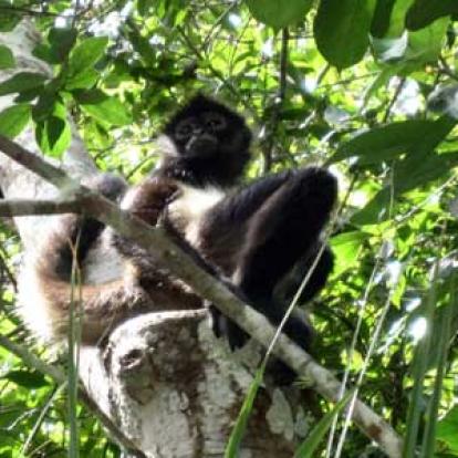 Voyage au Guatemala de Christian