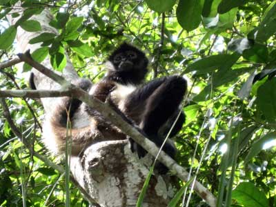 Voyage au Guatemala de Christian