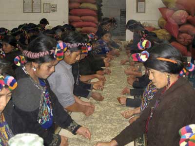 Voyage au Guatemala de Christian