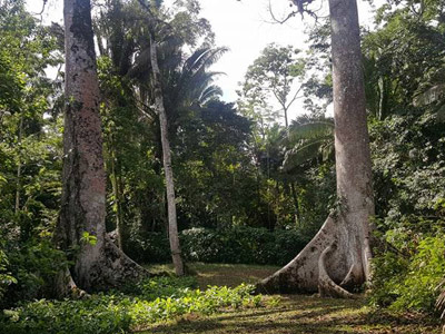©alexandra S. - Tous Droits réservés Voyage au Guatemala de la Famille d'Alexandra