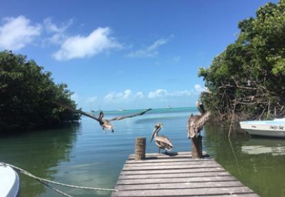 Voyage au Guatemala de la Famille d'Alexandra