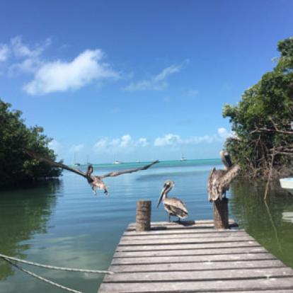 ©alexandra S. - Tous Droits Réservés Voyage au Guatemala de la Famille d'Alexandra