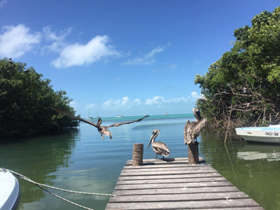 ©alexandra S. - Tous Droits réservés Voyage au Guatemala de la Famille d'Alexandra