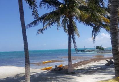 Voyage au Guatemala de la Famille d'Alexandra