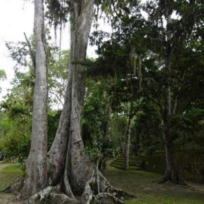 Voyage au Guatemala de Christian B.