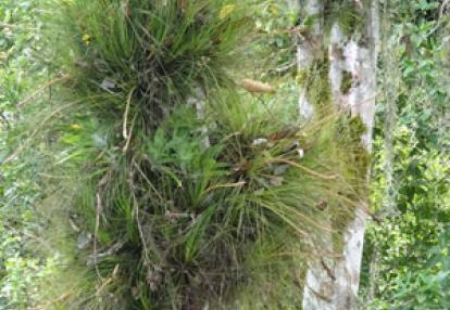 Voyage au Guatemala de Christian B.