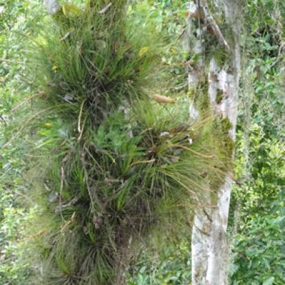 Voyage au Guatemala de Christian B.