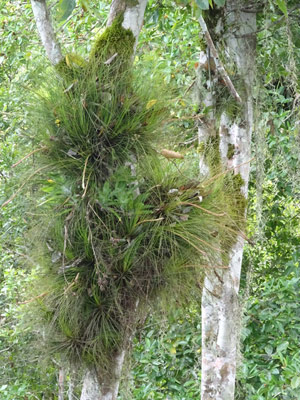 Voyage au Guatemala de Christian B.