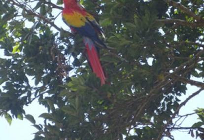 Voyage au Guatemala de Christian B.