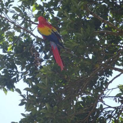 Voyage au Guatemala de Christian B.