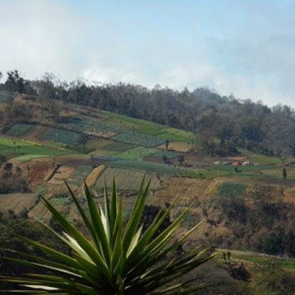 Voyage au Guatemala de Mireille