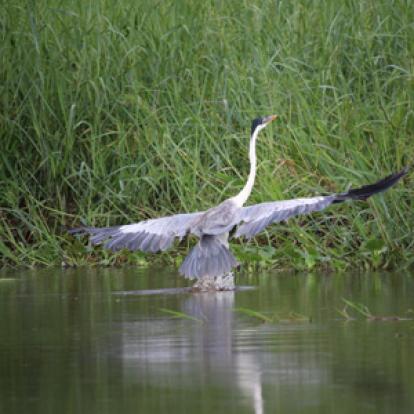 Voyage en Guyane de Stéphane et Arnaud
