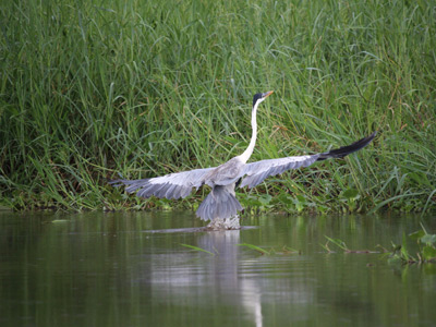 Voyage en Guyane de Stéphane et Arnaud