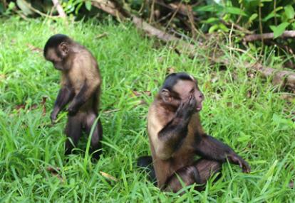 Voyage en Guyane de Stéphane et Arnaud