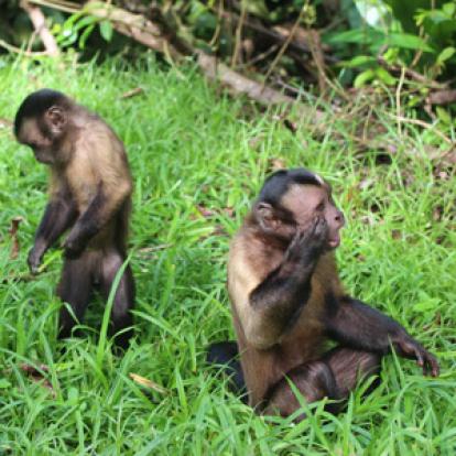 Voyage en Guyane de Stéphane et Arnaud