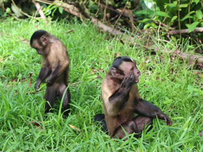 Voyage en Guyane de Stéphane et Arnaud