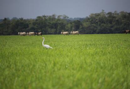 Voyage en Guyane de Stéphane et Arnaud