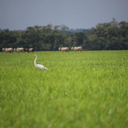 Voyage en Guyane de Stéphane et Arnaud
