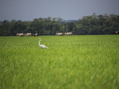 Voyage en Guyane de Stéphane et Arnaud