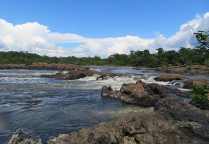 ©Catherine D. - Tous Droits réservés Voyage en Guyane de Catherine