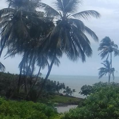 ©Isabelle V. - Tous Droits Réservés Voyage en Guyane d'Isabelle