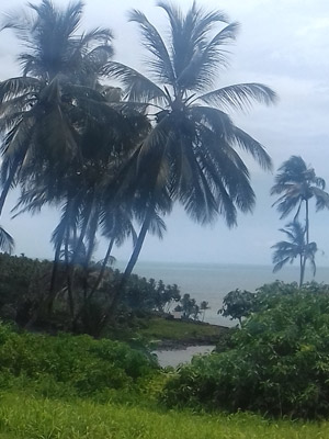 ©Isabelle V. - Tous Droits réservés Voyage en Guyane d'Isabelle