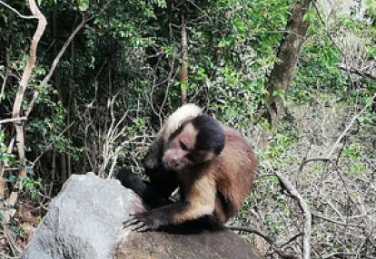 Voyage en Guyane d'Isabelle