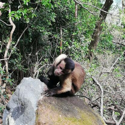 ©Isabelle V. - Tous Droits Réservés Voyage en Guyane d'Isabelle