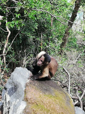 ©Isabelle V. - Tous Droits réservés Voyage en Guyane d'Isabelle