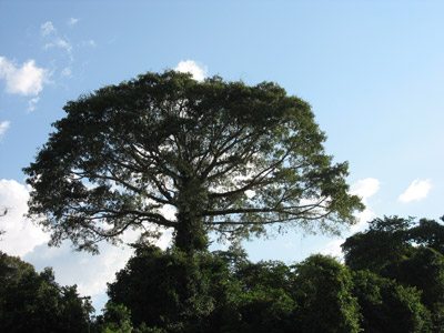 Voyage en Guyane de Catherine D.