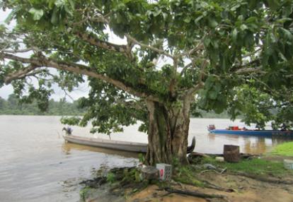 Voyage en Guyane de Justine
