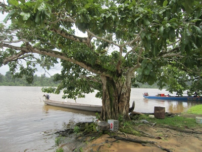 Voyage en Guyane de Justine