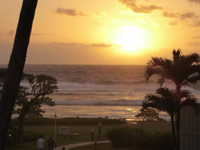 ©Jeanine B. - Tous Droits réservés Voyage à Hawaï de Jeanine