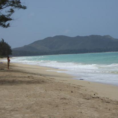 ©Jeanine B. - Tous Droits Réservés Voyage à Hawaï de Jeanine