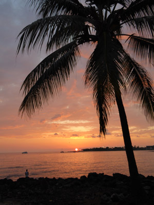 ©Jeanine B. - Tous Droits réservés Voyage à Hawaï de Jeanine