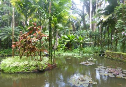 Voyage à Hawaï de Jeanine