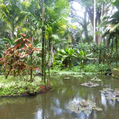 ©Jeanine B. - Tous Droits Réservés Voyage à Hawaï de Jeanine