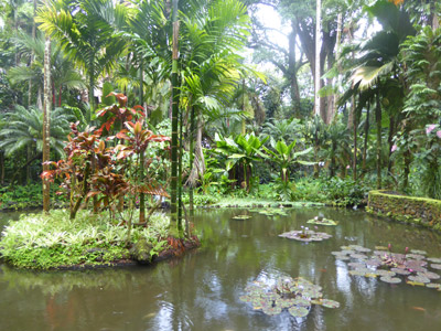 ©Jeanine B. - Tous Droits réservés Voyage à Hawaï de Jeanine