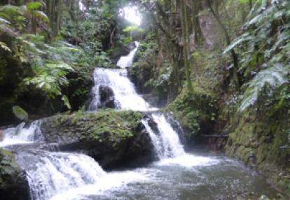 Voyage à Hawaï de Jeanine