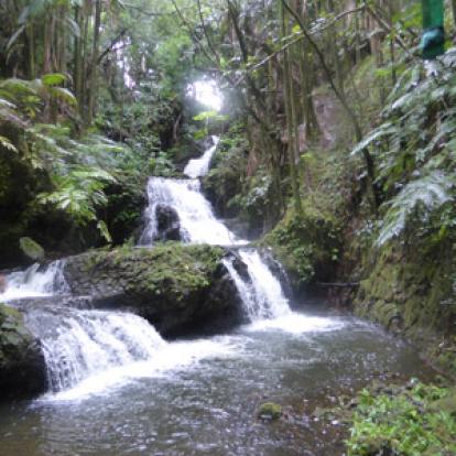©Jeanine B. - Tous Droits Réservés Voyage à Hawaï de Jeanine