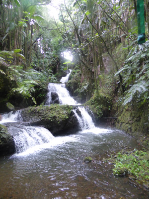 ©Jeanine B. - Tous Droits réservés Voyage à Hawaï de Jeanine