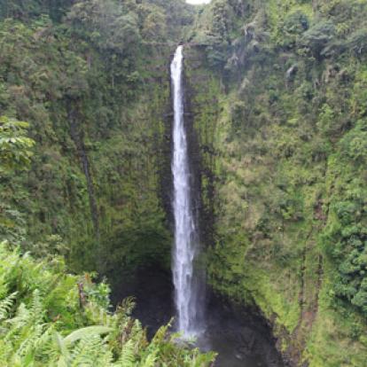 Voyage à Hawaï de la Famille d'Isabelle