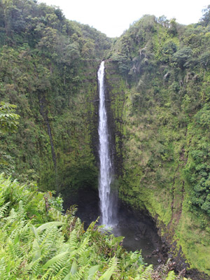 Voyage à Hawaï de la Famille d'Isabelle
