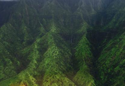 Voyage à Hawaï de la Famille de Bruno