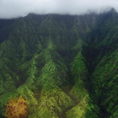 ©Sabrina C. - Tous Droits Réservés Voyage à Hawaï de la Famille de Bruno