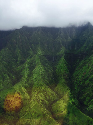 ©Sabrina C. - Tous Droits réservés Voyage à Hawaï de la Famille de Bruno