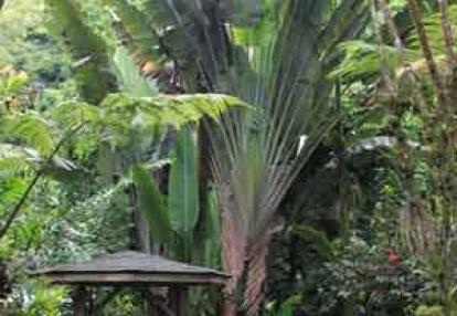 ©Martine B. - Tous Droits réservés Voyage à Hawaï de Martine