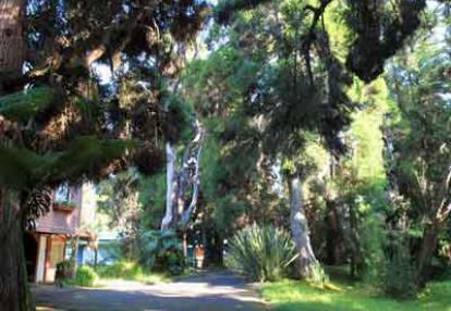 Voyage à Hawaï de Martine