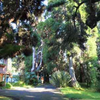 Voyage à Hawaï de Martine